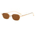 OEC CPO Small Square Sunglasses - Retro Style