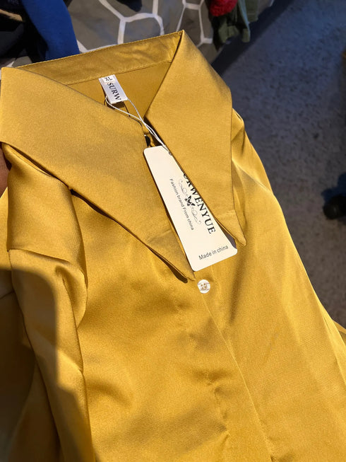 Elegant Satin Silk Blouse with Turn Down Collar