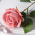 20 Pcs Artificial Velvet Silk Rose Bouquet