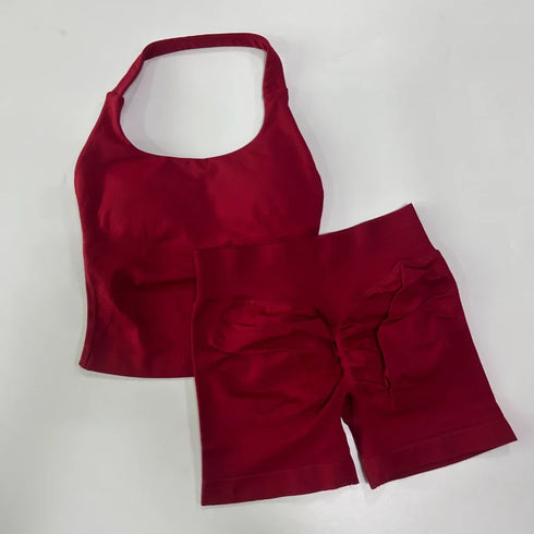 Seamless Yoga 2-Piece Gym Set for Women