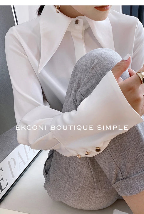 Elegant Satin Silk Blouse with Turn Down Collar