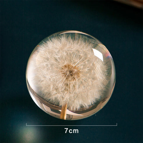 Crystal Dandelions Ball Figurine - Unique Resin Decor