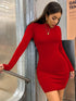 Long Sleeve Bodycon Mini Dress with Turtleneck
