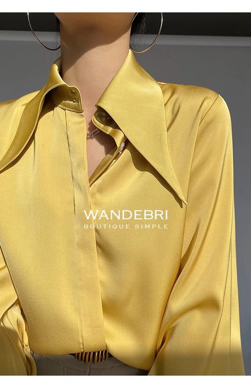 Elegant Satin Silk Blouse with Turn Down Collar