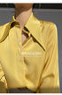 Elegant Satin Silk Blouse with Turn Down Collar