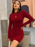 Long Sleeve Bodycon Mini Dress with Turtleneck