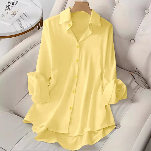 Women's Long Sleeve Solid Colour V-Neck Top