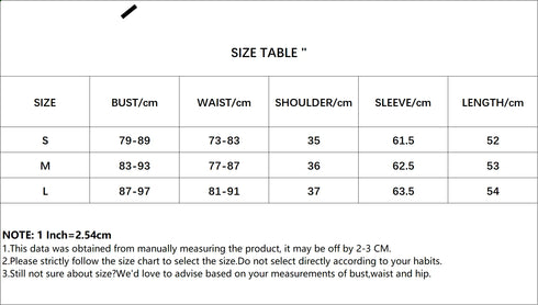 Lace Trim Patchwork V-Neck A-Line Long Sleeve Top