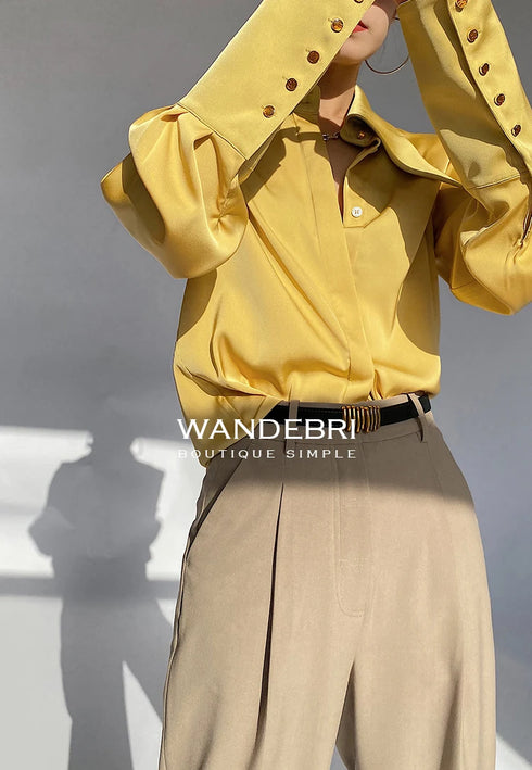Elegant Satin Silk Blouse with Turn Down Collar