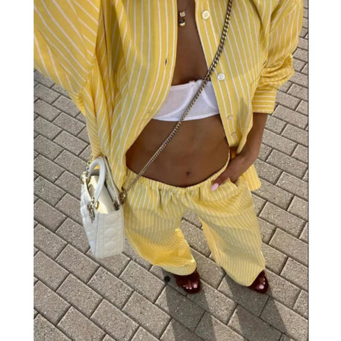 Women's Casual Yellow Long Sleeve V-Neck Blouse