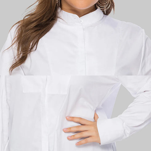 Plus Size Long Sleeve Blouse for Spring and Autumn