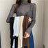 Sheer Long Sleeve Turtleneck Mesh Crop Top