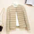 Korean Slim Fit Short Quilted Puffer Coat