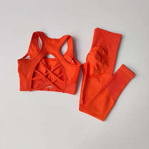 Seamless High Waist Leggings and Sports Bra Set