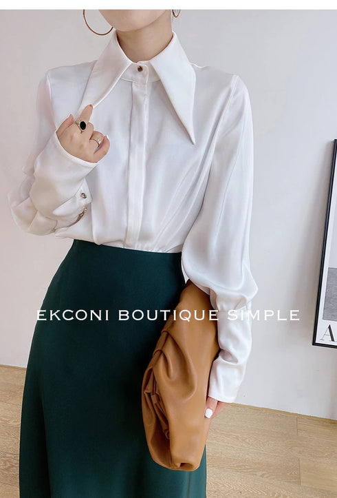 Elegant Satin Silk Blouse with Turn Down Collar