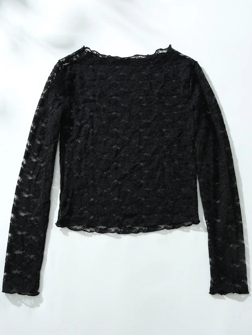 Floral Embroidery Sheer Long Sleeve Crop Top