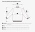 100% Merino Wool Long Sleeve Sweater for Women