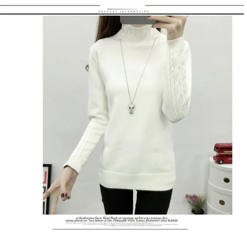 Women's Turtleneck Knitted Sweater
