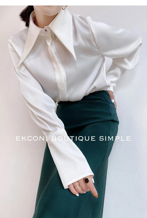 Elegant Satin Silk Blouse with Turn Down Collar