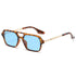 Small Frame Square Sunglasses Woman Luxury Vintage Leopard