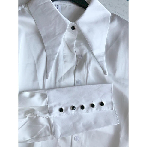 Elegant Satin Silk Blouse with Turn Down Collar