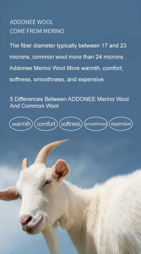 Merino Wool O-Neck Sweater for Women