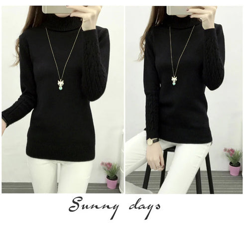 Women's Turtleneck Knitted Sweater