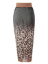 Leopard Print One-Piece Swimsuit with Gauze Skirt