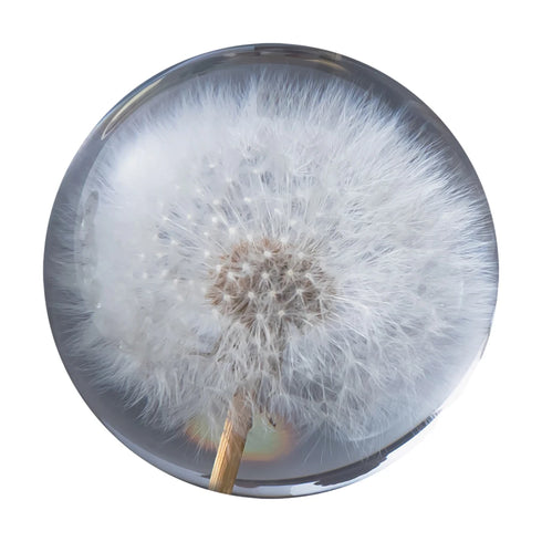 Crystal Dandelions Ball Figurine - Unique Resin Decor