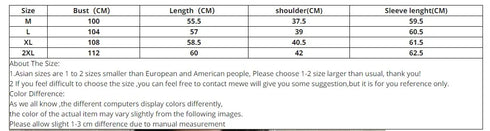 Korean Style Polo Collar Blouse for Women