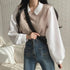Korean Style Polo Collar Blouse for Women