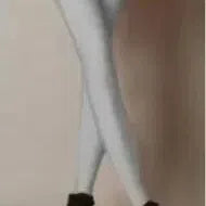 Multiple Color Neon Leggings for Women High Elastic Fashion