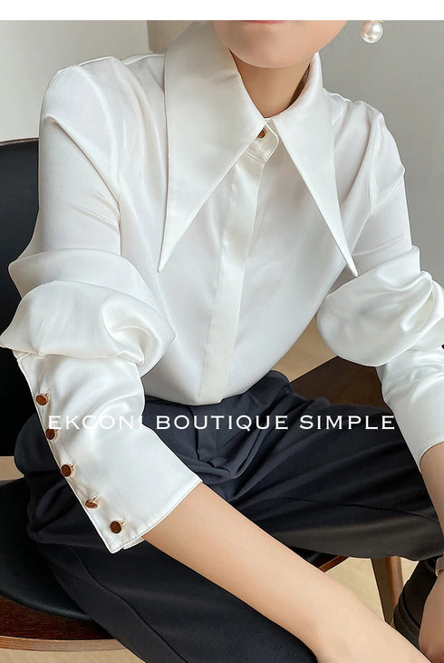Elegant Satin Silk Blouse with Turn Down Collar