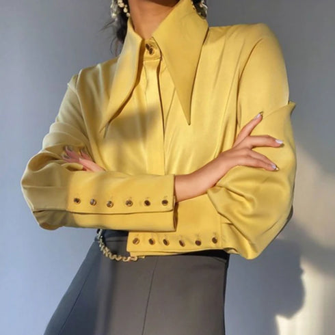 Elegant Satin Silk Blouse with Turn Down Collar