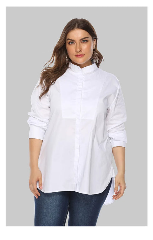 Plus Size Long Sleeve Blouse for Spring and Autumn