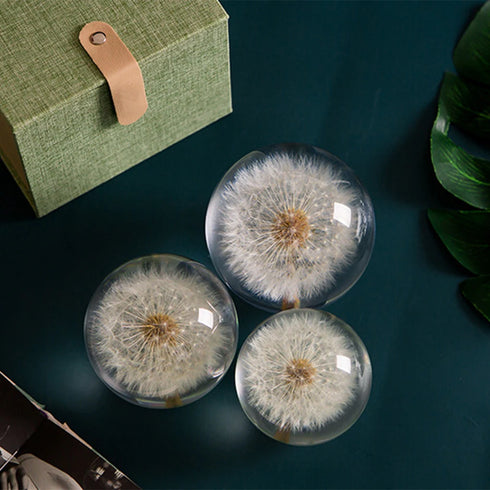 Crystal Dandelions Ball Figurine - Unique Resin Decor