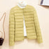 Korean Slim Fit Short Quilted Puffer Coat