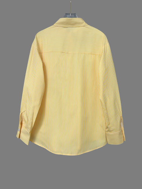 Women's Casual Yellow Long Sleeve V-Neck Blouse
