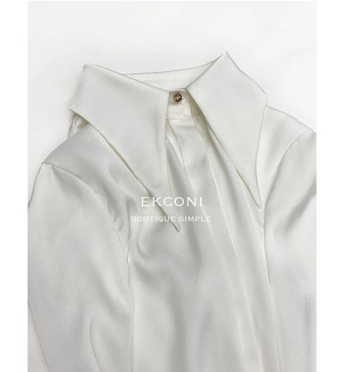 Elegant Satin Silk Blouse with Turn Down Collar