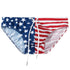 Men's Low Waist USA Flag Swim Trunks