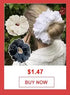 Sheer Lace Long Sleeve Turtleneck Top for Women
