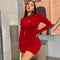 Long Sleeve Bodycon Mini Dress with Turtleneck