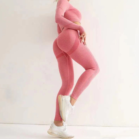 High Waist Seamless Quick Dry Yoga Leggings