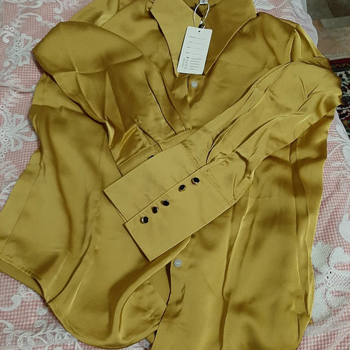 Elegant Satin Silk Blouse with Turn Down Collar