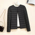 Korean Slim Fit Short Quilted Puffer Coat
